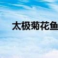 太极菊花鱼鳔（关于太极菊花鱼鳔简介）