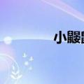 小鼹鼠过生日ppt（小鼹鼠）