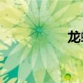 龙蛇2 李含沙（龙蛇2）