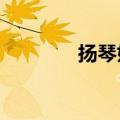 扬琴好学吗?（扬琴好学吗）
