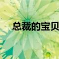 总裁的宝贝妻总裁娃娃（总裁的宝贝妻）