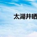 太湖井晒醋（关于太湖井晒醋简介）