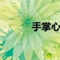 手掌心歌词简谱（手掌心歌词）