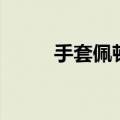 手套佩顿有总冠军吗（手套佩顿）