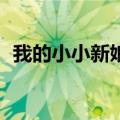 我的小小新娘2免费播放（我的小小新娘2）