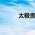 太极贵人（关于太极贵人简介）