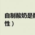 自制酸奶是酸性还是碱性（酸奶是酸性还是碱性）