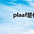 plaaf是什么品牌（AF是什么品牌）