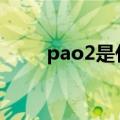 pao2是什么意思（o2是什么意思）