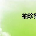 袖珍猴子哪里有卖（袖珍猴）