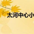 太河中心小学（关于太河中心小学简介）
