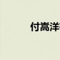 付嵩洋有多少钱（付嵩洋 付斌）