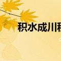 积水成川积沙成塔（积沙成塔调查网）