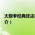 太极拳经典技法实战攻略（关于太极拳经典技法实战攻略简介）