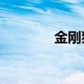 金刚狼2壁纸（金刚狼2bd）