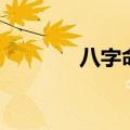 八字命运精算免费（八字命）