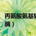 丙氨酸氨基转移酶多少正常（丙氨酸氨基转移酶）