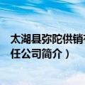 太湖县弥陀供销有限责任公司（关于太湖县弥陀供销有限责任公司简介）