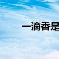 一滴香是什么东西（一滴香是什么）