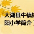 太湖县牛镇镇南阳小学（关于太湖县牛镇镇南阳小学简介）