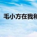 毛小方在我和僵尸有个约会里实力能排第几
