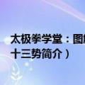 太极拳学堂：图解太极十三势（关于太极拳学堂：图解太极十三势简介）