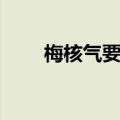 梅核气要怎样治疗才能好（梅核仁）