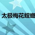 太极梅花螳螂拳（关于太极梅花螳螂拳简介）