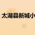 太湖县新城小学（关于太湖县新城小学简介）