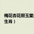梅花杏花照玉堂是什么生肖作业帮（梅花杏花照玉堂是什么生肖）