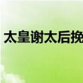 太皇谢太后挽章（关于太皇谢太后挽章简介）