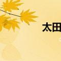 太田市（关于太田市简介）