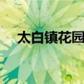 太白镇花园村（关于太白镇花园村简介）