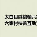 太白县鹦鸽镇六家村扶贫互助资金协会（关于太白县鹦鸽镇六家村扶贫互助资金协会简介）