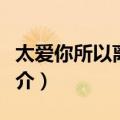 太爱你所以离开你（关于太爱你所以离开你简介）