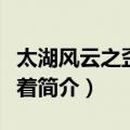 太湖风云之歪打正着（关于太湖风云之歪打正着简介）
