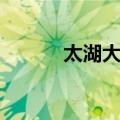 太湖大桥（关于太湖大桥简介）