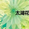 太湖花园（关于太湖花园简介）