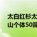 太白红杉太白山个体50（关于太白红杉太白山个体50简介）