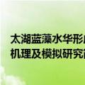 太湖蓝藻水华形成机理及模拟研究（关于太湖蓝藻水华形成机理及模拟研究简介）