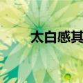 太白感其意（关于太白感其意简介）