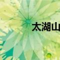 太湖山石（关于太湖山石简介）