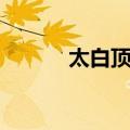太白顶芽（关于太白顶芽简介）