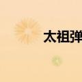 太祖弹雀（关于太祖弹雀简介）