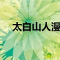 太白山人漫稿（关于太白山人漫稿简介）