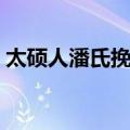 太硕人潘氏挽词（关于太硕人潘氏挽词简介）