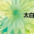 太白里（关于太白里简介）