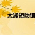 太湖短吻银鱼（关于太湖短吻银鱼简介）