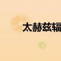 太赫兹辐射（关于太赫兹辐射简介）