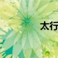 太行菊（关于太行菊简介）